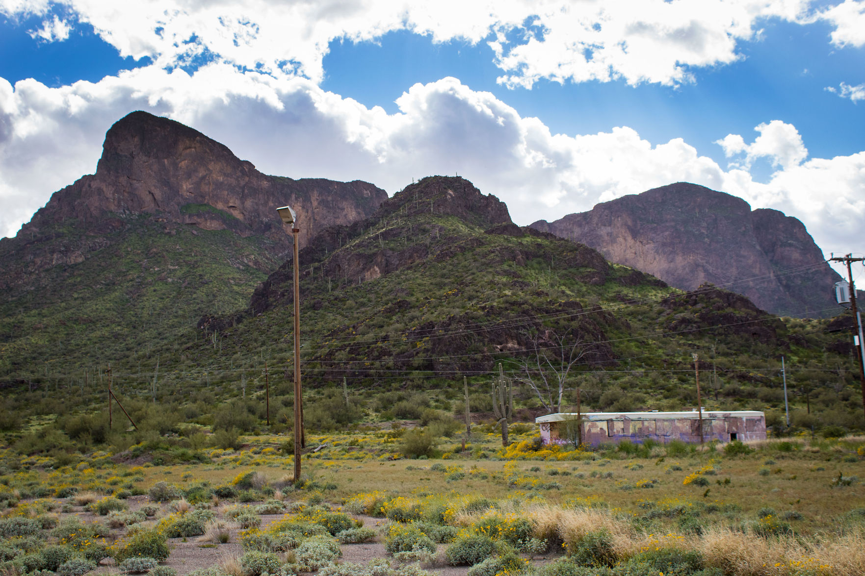 Picacho Peak